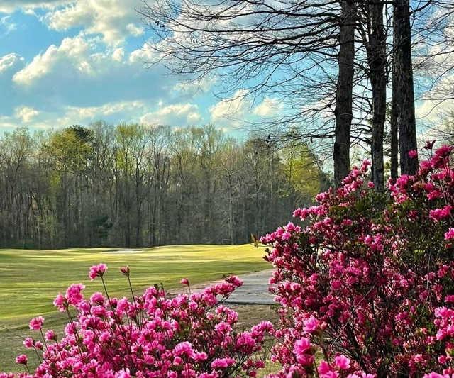 Bear Creek Golf Club, GA - photo 8