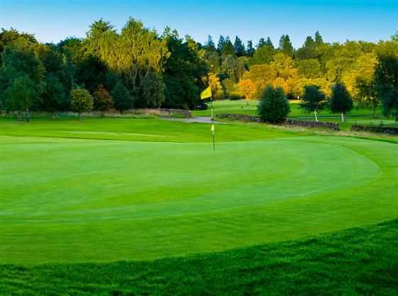 Balmore Golf Club - photo 7