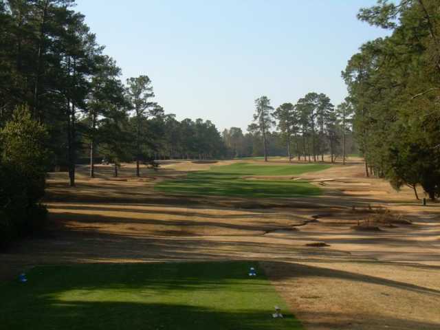 Palmetto - photo 2