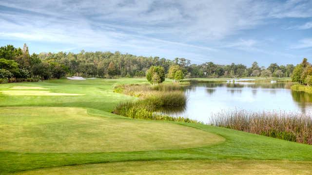Shingle Creek Golf Club - photo 4