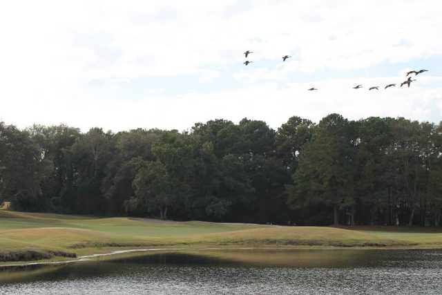 Country Club of South Carolina - photo 2