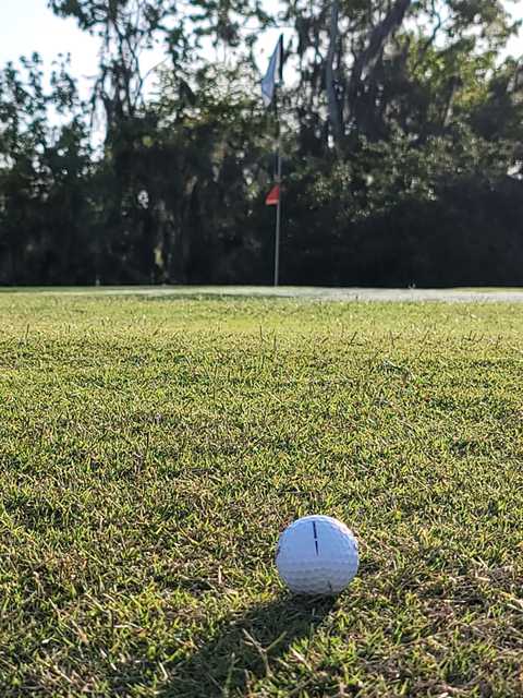 Willow Lakes Golf Club - photo 2