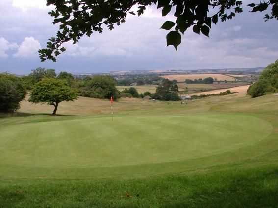 Came Down Golf Club - photo 7