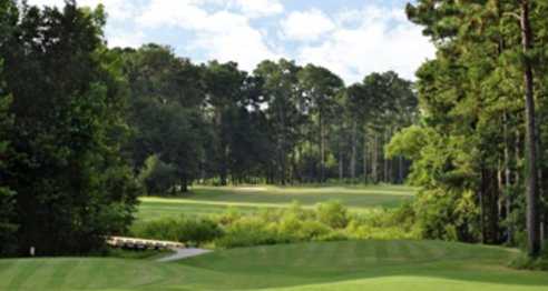 Brazell's Creek Golf Course - photo 5
