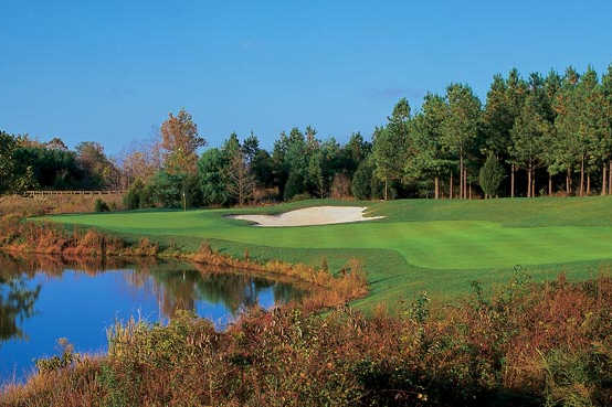 Dominion Valley Country Club - photo 5