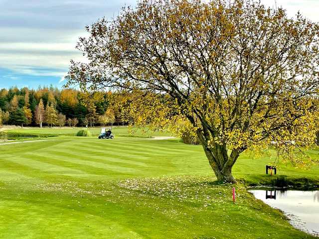 Longhirst Hall Golf Club - Lakes Course - photo 3
