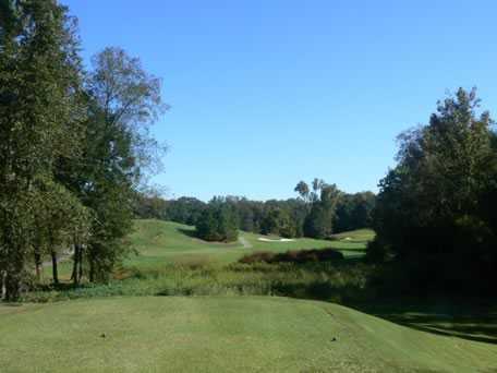 The Walker Course at Clemson University - photo 6