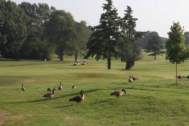 Audubon - photo 3