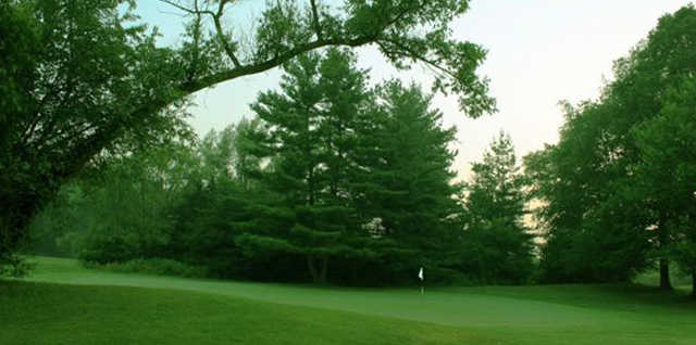 The Old Course - photo 3