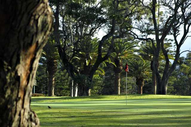 Mililani Golf Club - photo 3