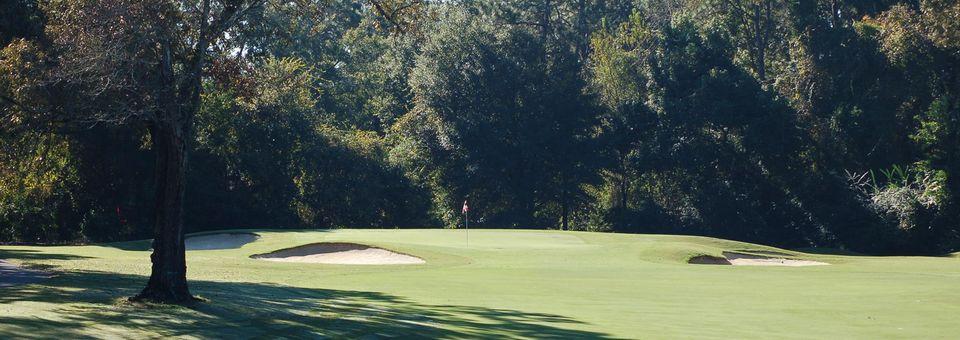 Lake Forest Golf Club - photo 3