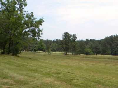 Village Greens Golf Club - photo 2