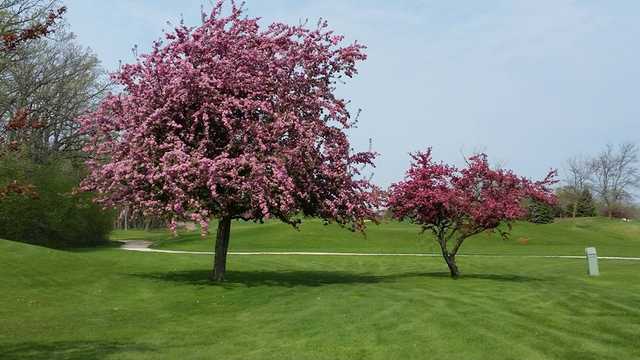 Rolling Meadows Golf Course - photo 2