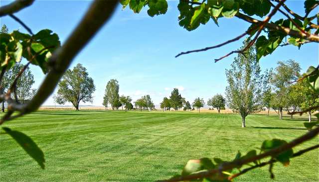 Lake Hills Golf Course - photo 2