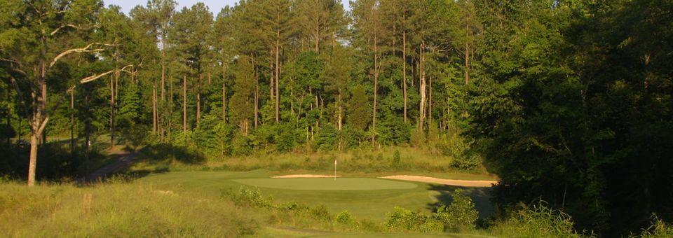 Waterford Golf Club (SC) - photo 6