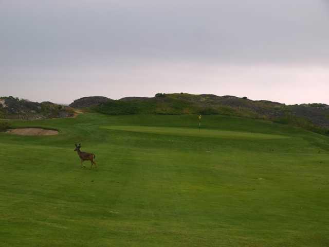 Pacific Grove Golf Links - photo 4