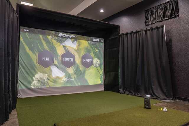 Swing Envy Golf Simulator - photo 4