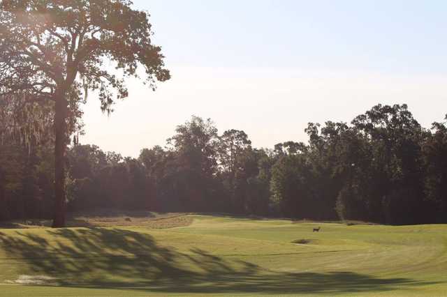 The Club At Carlton Woods - photo 2