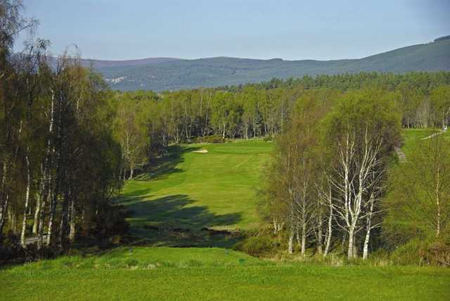 Boat of Garten Golf Club - photo 4