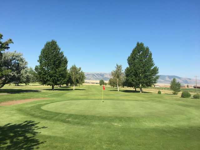 Old Baldy Golf Course - photo 3