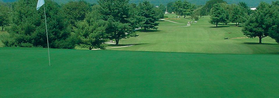 Clinchview Golf Club - photo 3