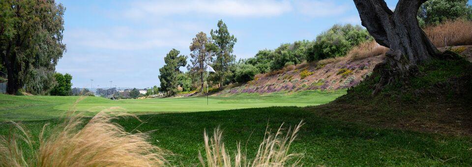 Shorecliffs Golf Club - photo 7