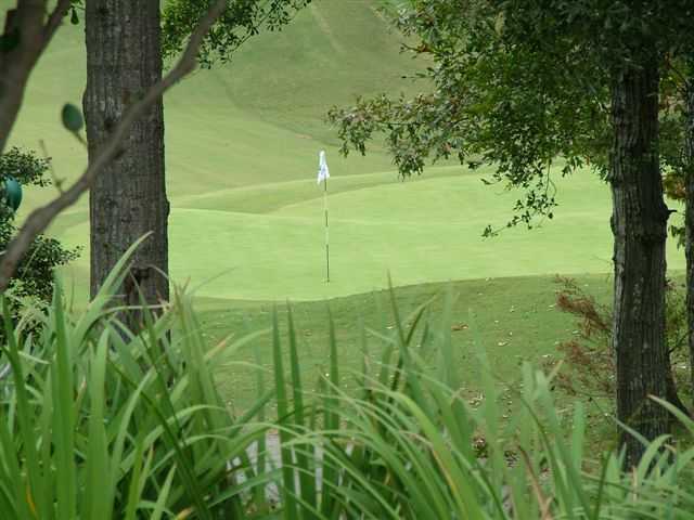 Musgrove Mill Golf Club - photo 4