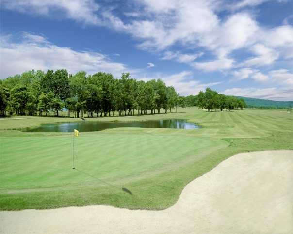 Stonebridge Meadows Golf Club - photo 4