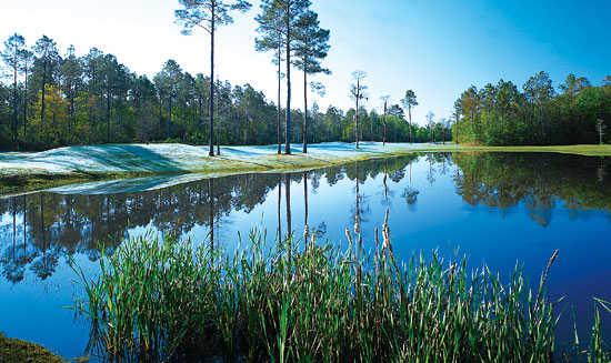 Windance Country Club - photo 5