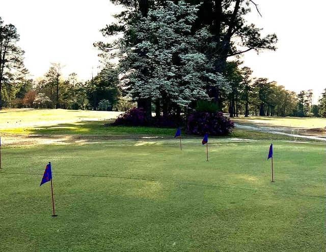 Vineland Golf Course - photo 3