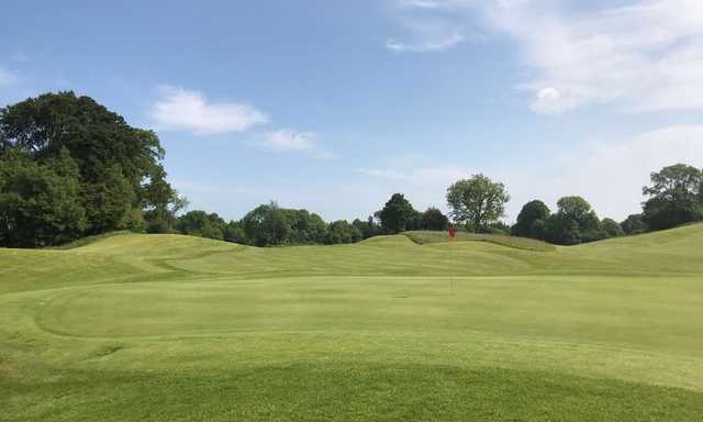New Forest Golf Club - photo 4
