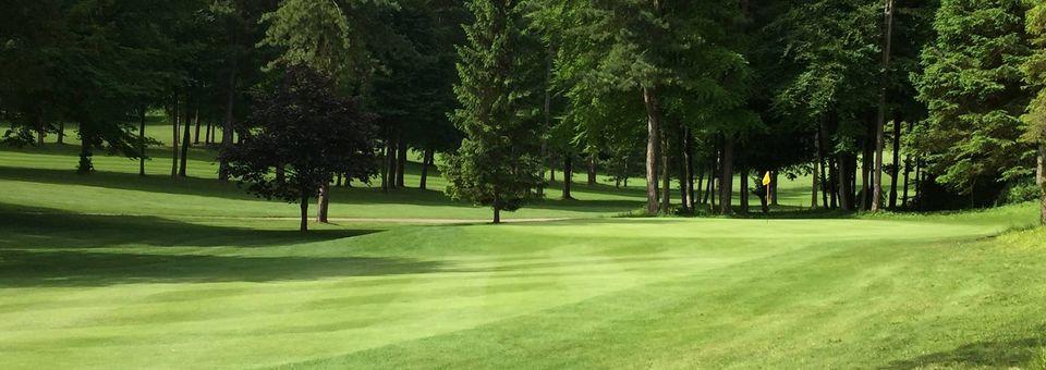 Chiltern Forest Golf Club - photo 4