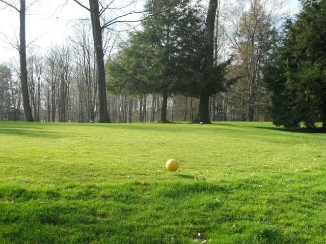 Mt. Hope - photo 3