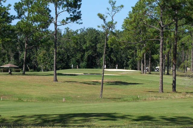 Cypress Lakes Golf Club - FL - photo 3