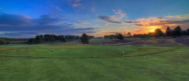 Sherwood Forest Golf Club - photo 3