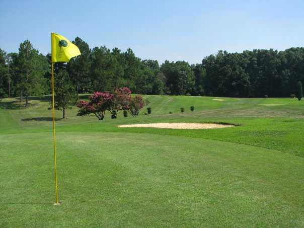 Bur-Mil Park Golf Course - photo 2
