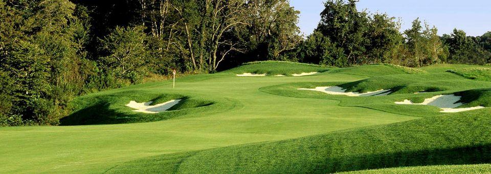 Frog Hollow Golf Club - photo 7