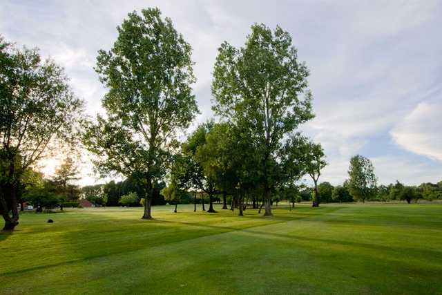 Bishopswood Golf Course - photo 5