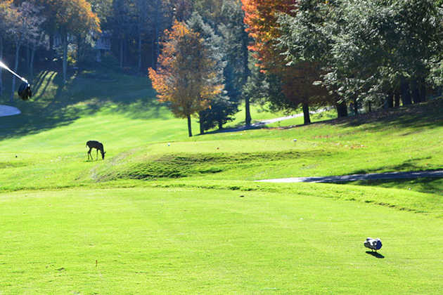 The Beech Mountain Club - photo 6