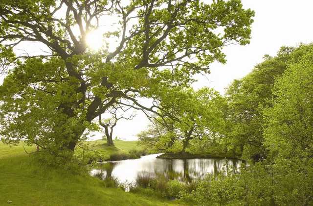 Mossock Hall Golf Club - photo 3