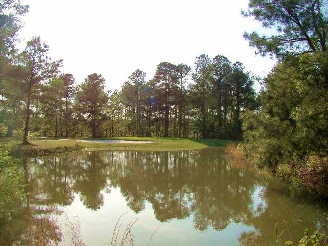 Swamp Fox Golf Club - photo 2