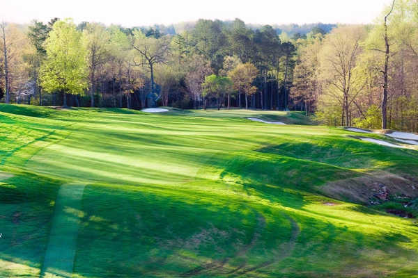 Treyburn Country Club - photo 3