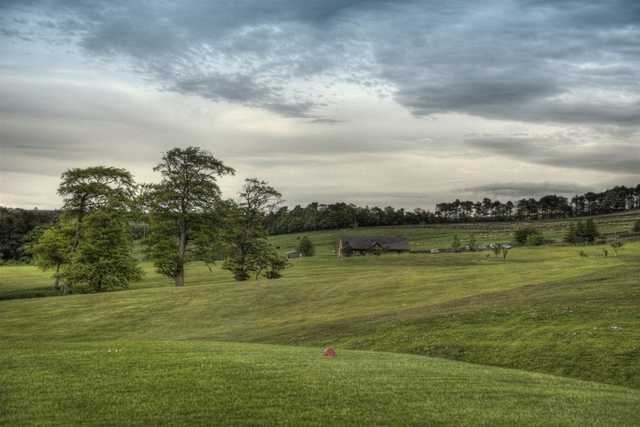 Allendale Golf Club - photo 3