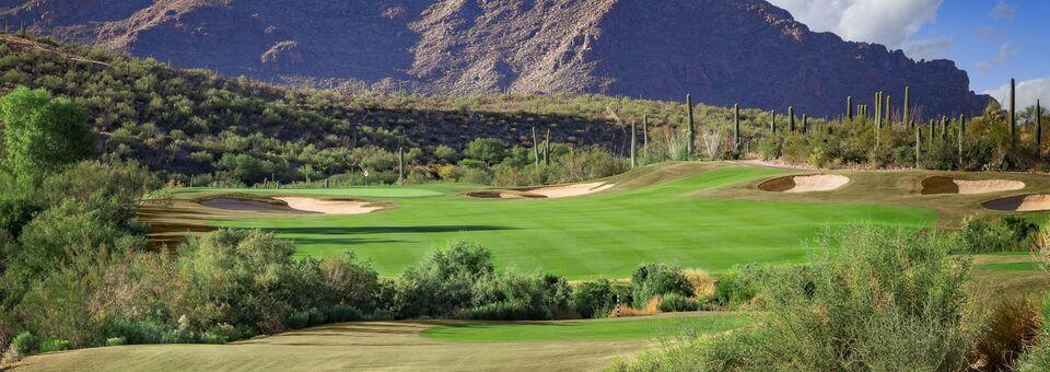 The Club at Starr Pass - photo 3