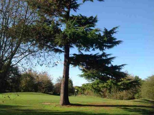 Aldenham Golf Club - photo 8