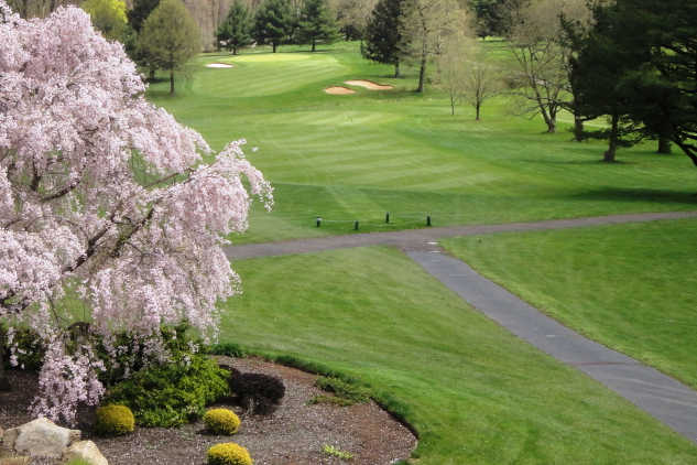 Spring Ford Country Club - photo 2