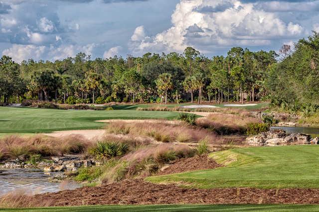 Tiburon Golf Club - Black Course - photo 6