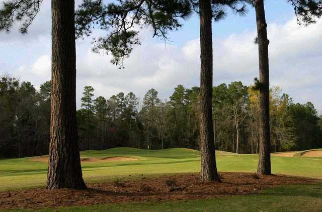 Pine Dunes Resort - photo 3