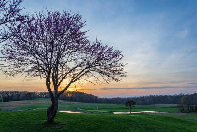 Greencastle Golf Club - photo 7