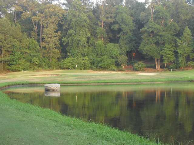Southern Landings Golf Club - photo 2